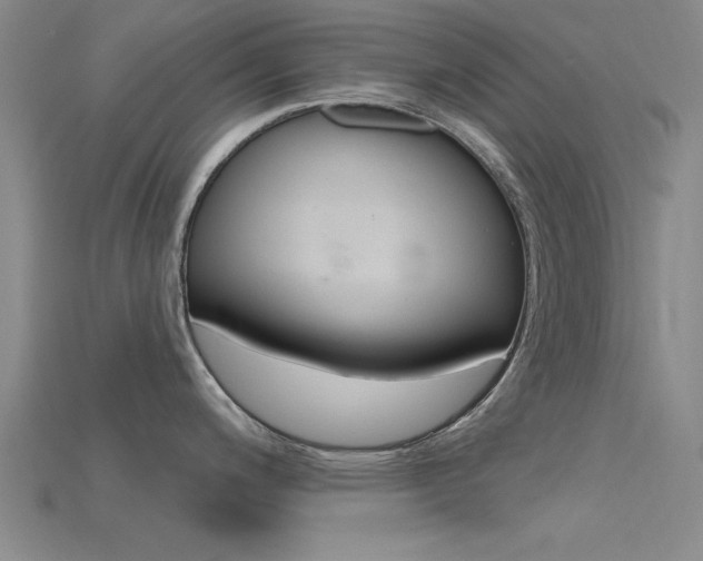 X0000115811200200911131036