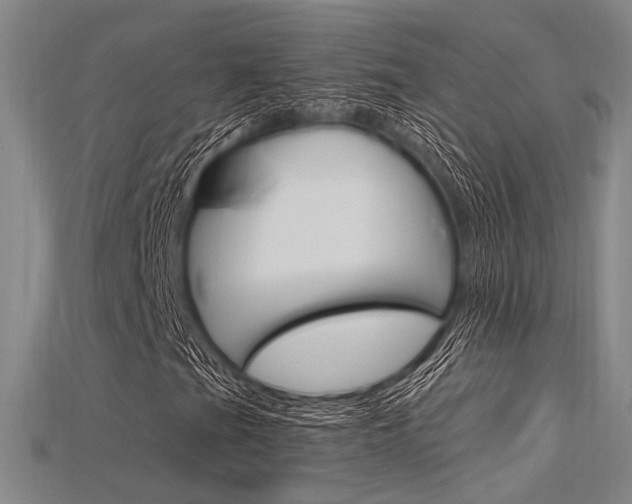 X0000115811201200911131035