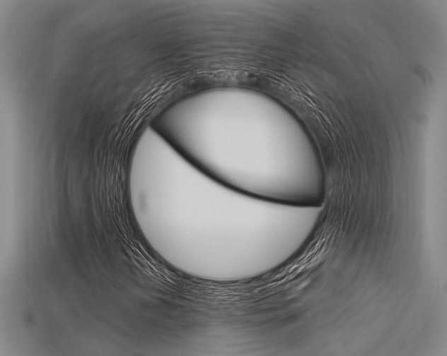 X0000115811202200911131035