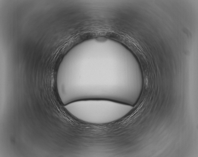 X0000115811204200911131035