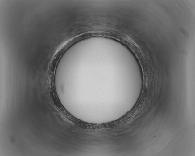X0000115811208200911131035