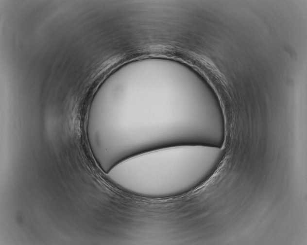 X0000115811209200911131035