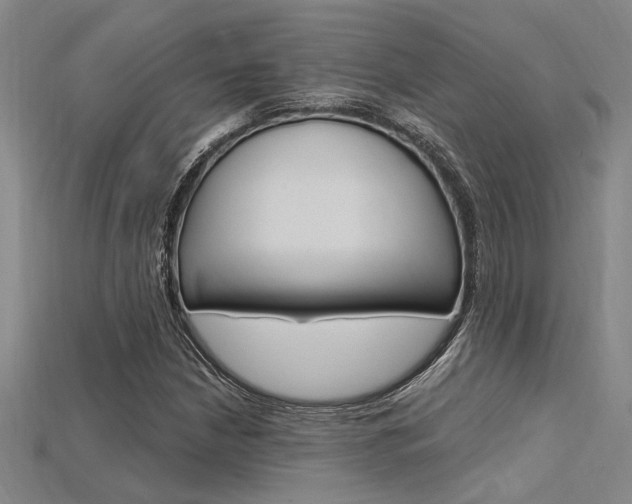 X0000115811210200911131035