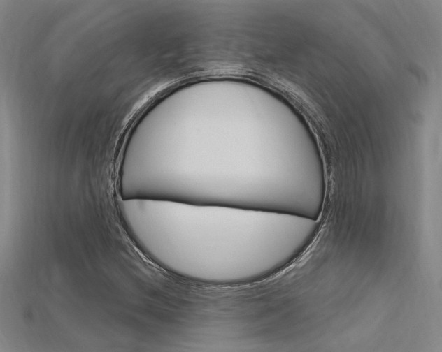 X0000115811212200911131035