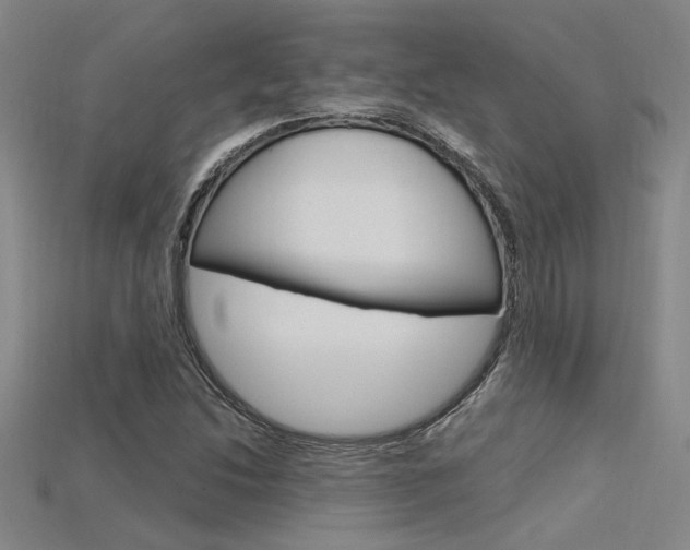 X0000115811214200911131035