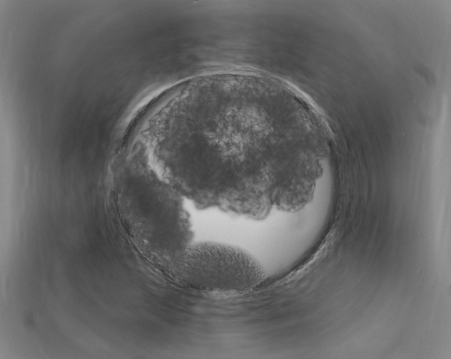 X0000115811215200911131035