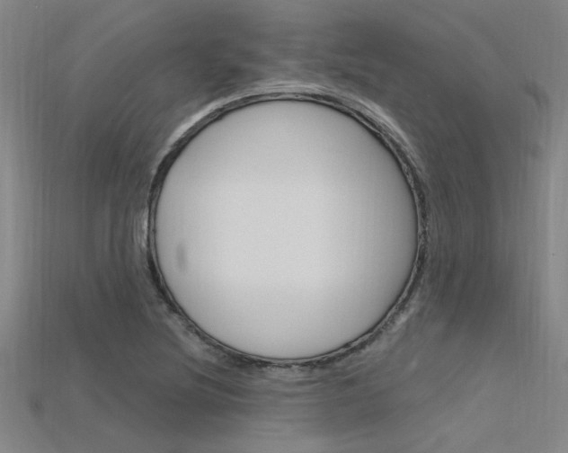 X0000115811220200911131036