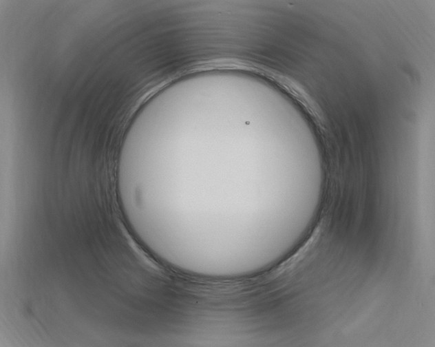 X0000115811225200911131036