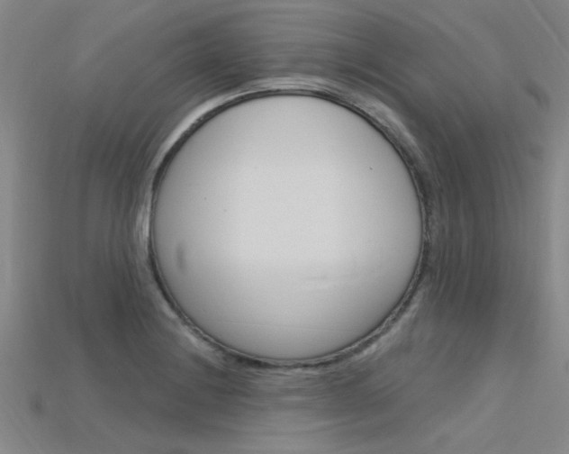 X0000115811228200911131036