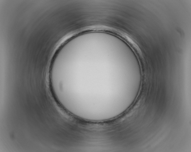 X0000115811229200911131036