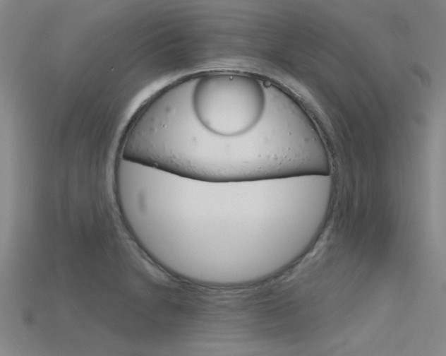X0000115811230200911131036