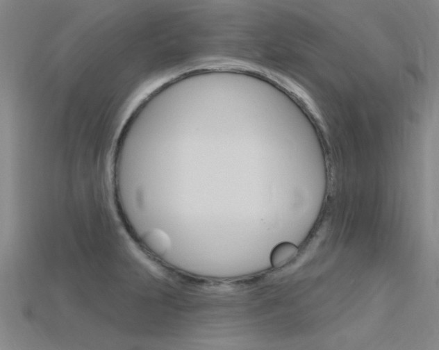 X0000115811231200911131036