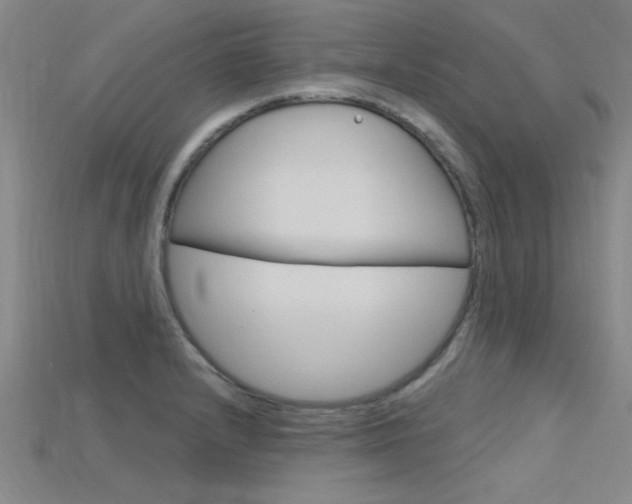 X0000115811232200911131036
