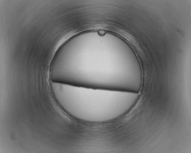 X0000115811234200911131036