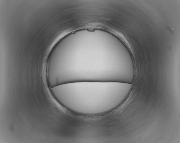 X0000115811235200911131036