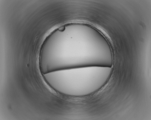 X0000115811237200911131036