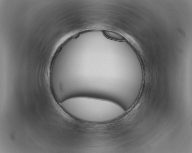 X0000115811238200911131036