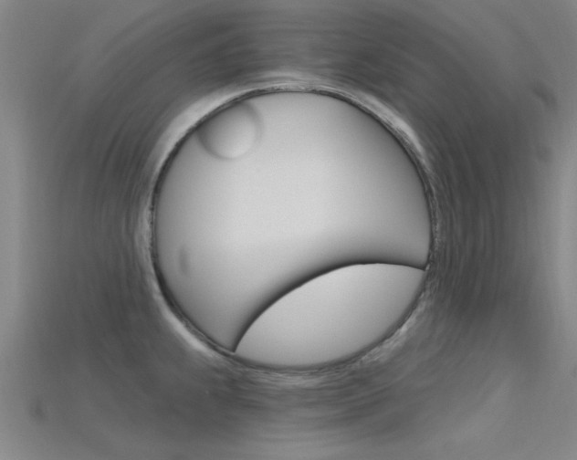 X0000115811239200911131036