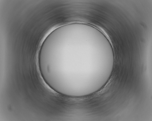 X0000115811243200911131036