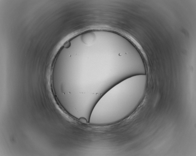 X0000115811245200911131036