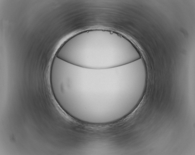 X0000115811246200911131036
