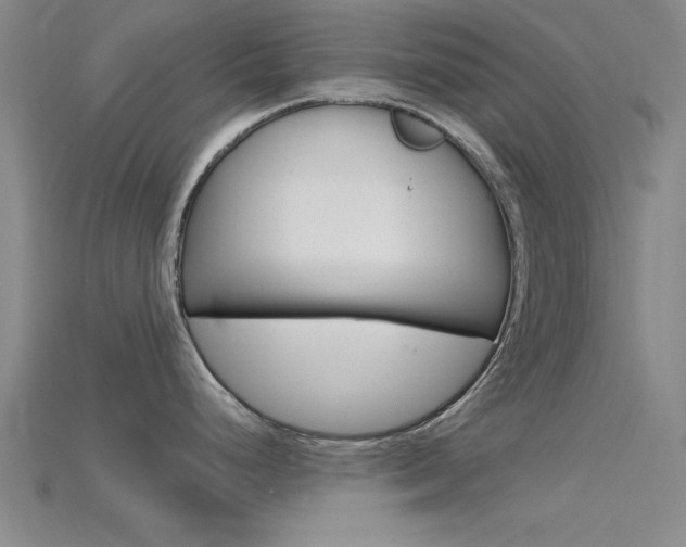 X0000115811248200911131036