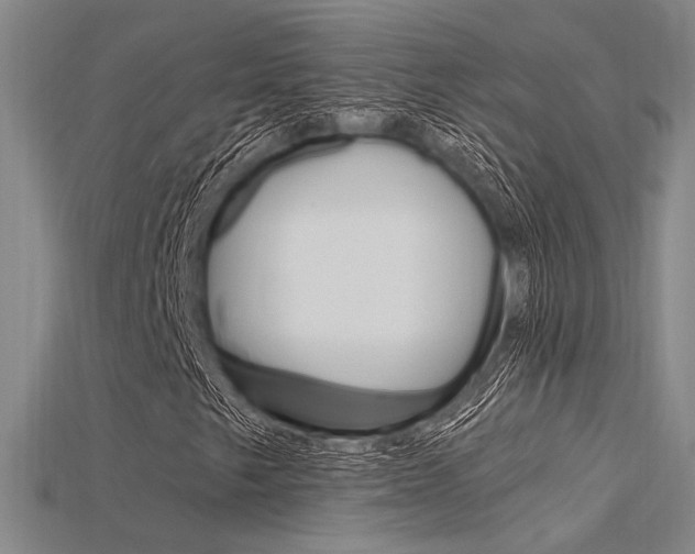 X0000115811249200911131035