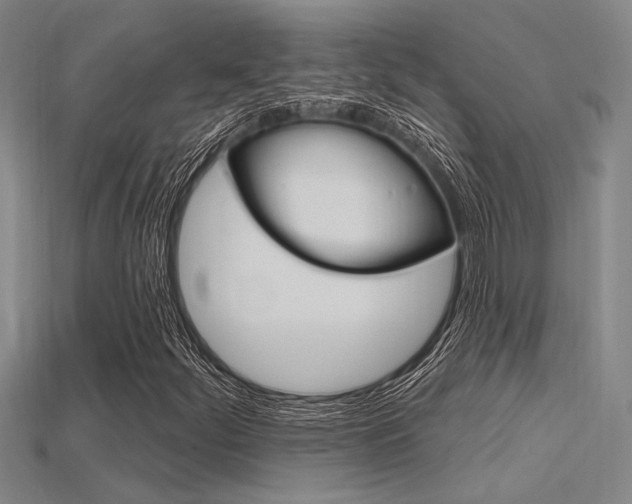 X0000115811252200911131035