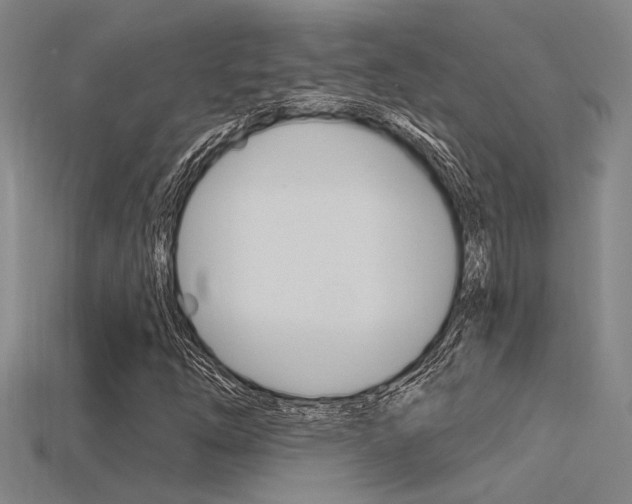 X0000115811254200911131035