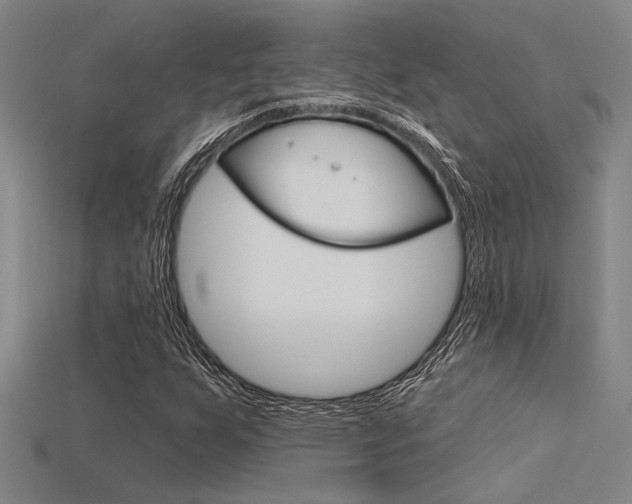 X0000115811255200911131035
