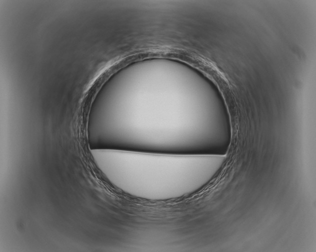 X0000115811256200911131035