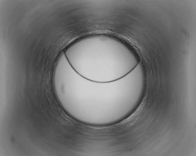 X0000115811257200911131035