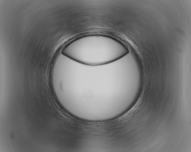 X0000115811259200911131035