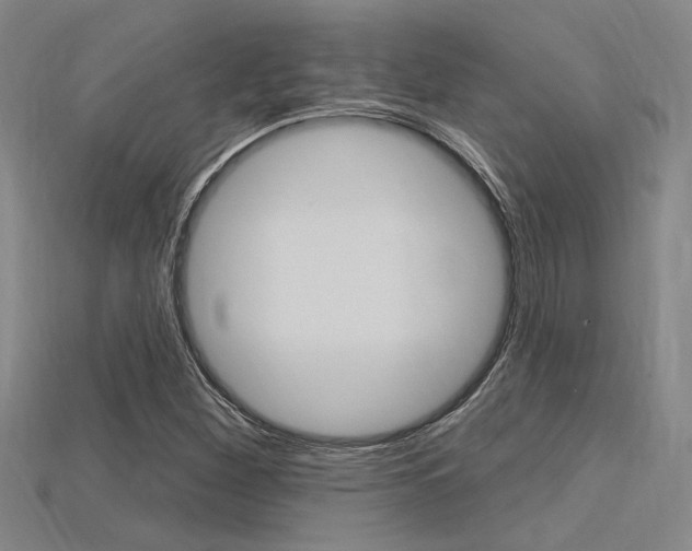 X0000115811260200911131035
