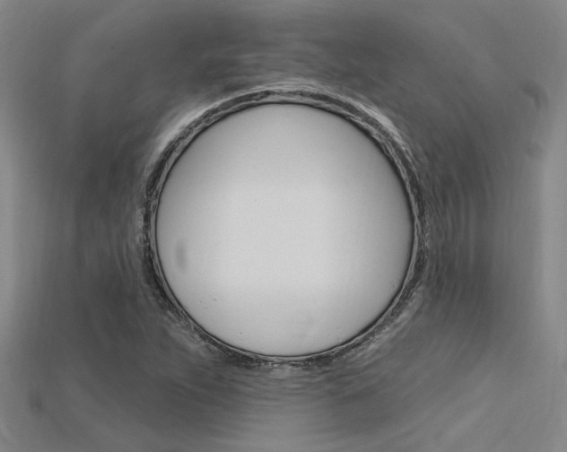 X0000115811263200911131035