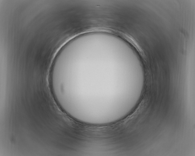 X0000115811268200911131035