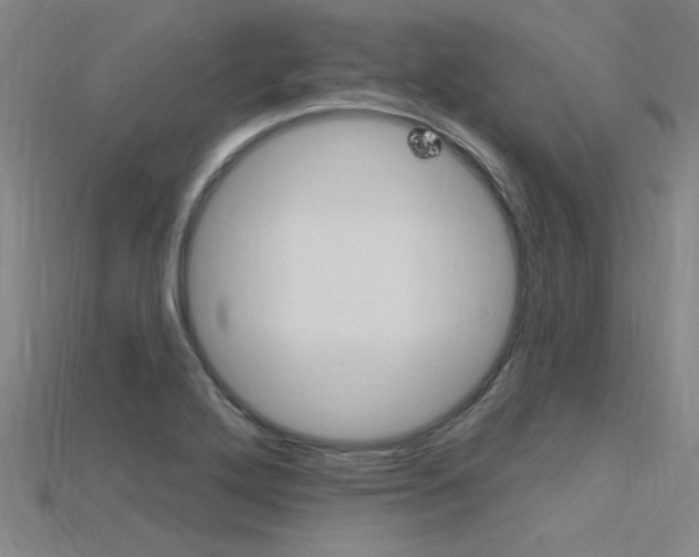 X0000115811272200911131035