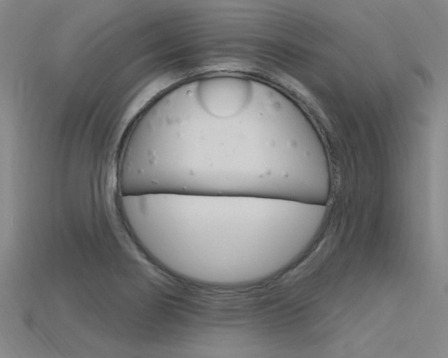 X0000115811274200911131035