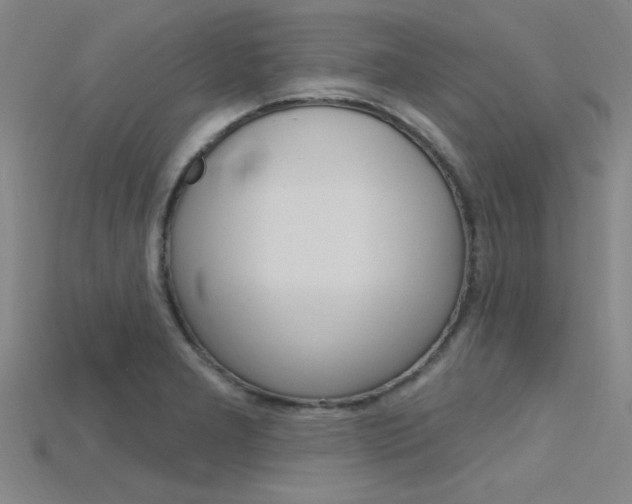 X0000115811277200911131035