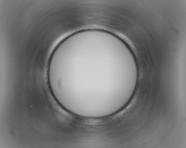 X0000115811278200911131035