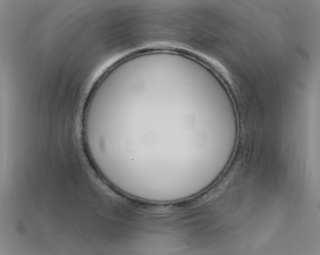 X0000115811279200911131035