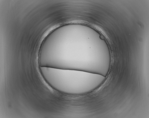 X0000115811282200911131035