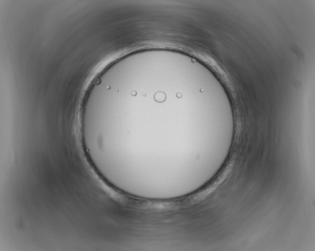 X0000115811286200911131035