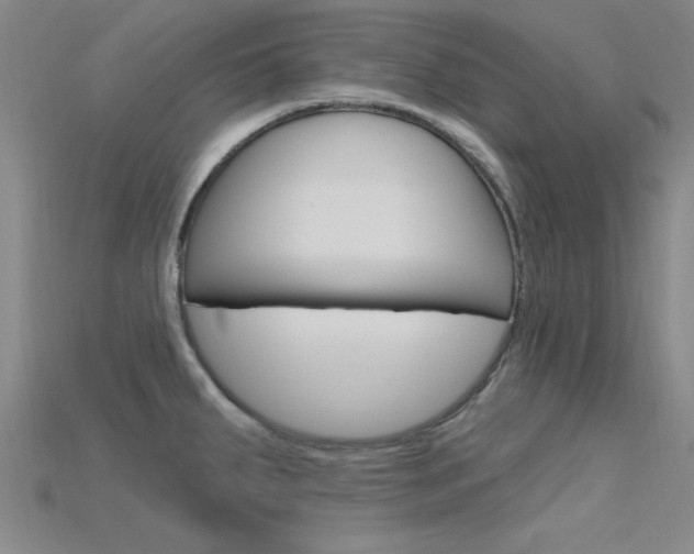 X0000115811287200911131035