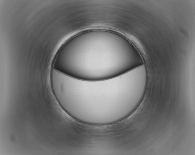 X0000115811288200911131035