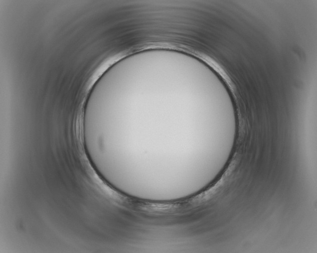 X0000115811290200911131035