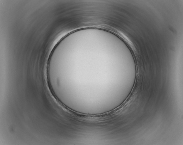 X0000115811291200911131035