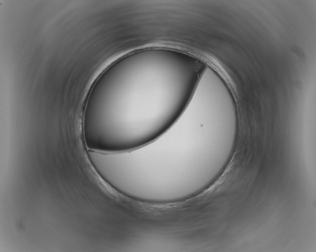 X0000115811292200911131035