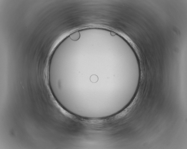 X0000115811294200911131035