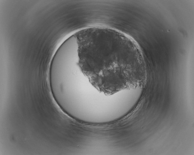 X0000115811295200911131035